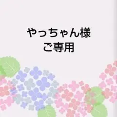 やっちゃん様　ご専用