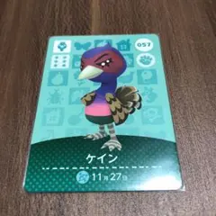 どうぶつの森　アミーボ　ケイン