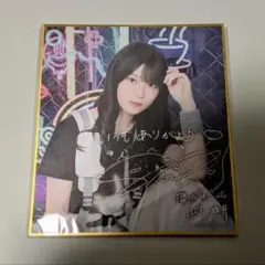 スターダム なつぽい選手 直筆サイン入り写真集 - メルカリ
