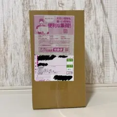26年2月到着分】スペシャルBOXポケモンセンターフクオカ 段ボール未