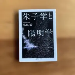 王陽明 亘理章三郎著 明治四十四年発行、陽明学、極めて希少、入手困難 2025年最新】陽明学の人気アイテム - メルカリ