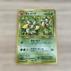 キレイハナ ★ 拡張パック第1弾 金、銀、新世界へ…
