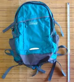 y2k 希少色 coleman ワンショルダーバッグ スリングバッグ グリーン