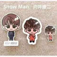Snow Man 向井康二 すのチルステッカー CD購入初回特典シール 3枚 ⑯