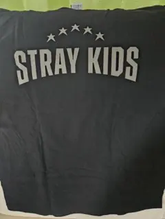 Stray Kids 5-STAR Dome Tour Tシャツ アプグレ