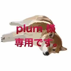 plum 様 専用です
