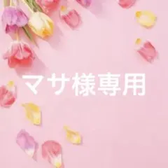 マサ様専用