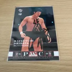 2026年最新】柴田勝頼の人気アイテム - メルカリ