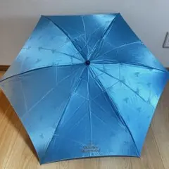 Item thumbnail for item 4a9d81a2-a6b3-40bd-bd4a-f9f1eb91fd77