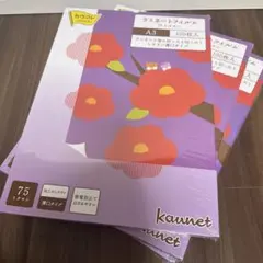 Item thumbnail for item 79c11642-b9d4-4db7-a9cb-3729ec288f57