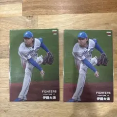 伊藤大海 プロ野球チップス　176cm 176m