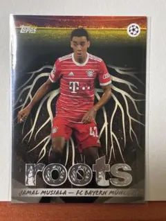 [roots] ヤマルムシアラ　バイエルンミュンヘン