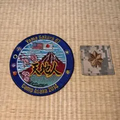 陸上自衛隊 米軍共同演習 ワッペン 2種セット