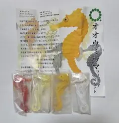 オオウミウマ　フィギュアマスコット　ガチャガチャ