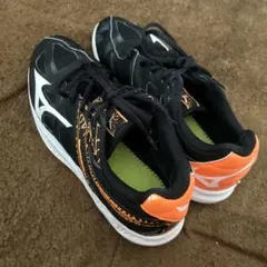 Item thumbnail for item d438f87e-d159-4e1e-a35c-c98d2c5ba1b1