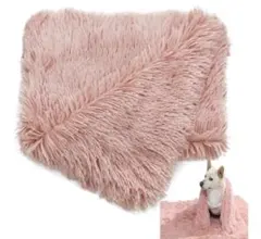 Item thumbnail for item a1408e86-0d4a-4217-b8af-a61b80d0563b