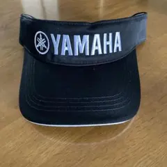 Item thumbnail for item 4d0b2c4a-69a4-4ce9-b5e5-3f6c61cb3a5f