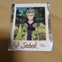 ツイステッドワンダーランド　セベク・ジグボルト　　　カード