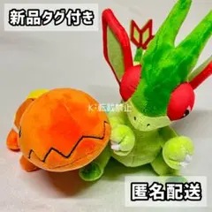 ポケモンfit セット