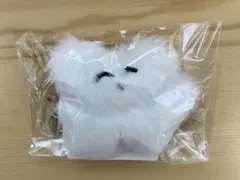 カネコアヤノ 等身大ねこぬいぐるみ - メルカリ