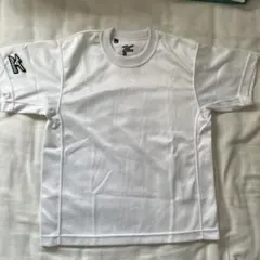 Item thumbnail for item 01fcfcbe-7f6a-44ae-b51d-7b9dde2fcbbf