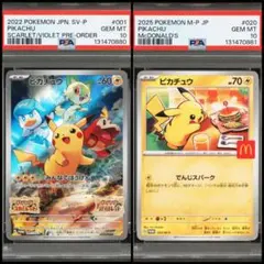 スカバイ ピカちゅ2枚セット 2025年最新】スカバイピカチュウの人気アイテム - メルカリ