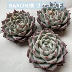 BARON様 リクエスト 4点 まとめ商品