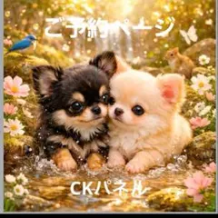 激レア柴犬、シーズ、チワワ、マルチーズ、パグ、ポメラニアンパネル