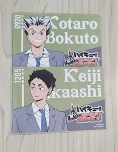 Item thumbnail for item cee6513a-e120-480d-9902-0499a695dcea