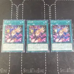 遊戯王 黒魔導のカーテン アジア版シークレット3枚 #2 - メルカリ