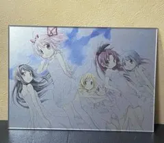 ❣️✨❣️蒼樹うめ展 魔法少女まどか☆マギカ アクリルアートプレート❣️✨❣️