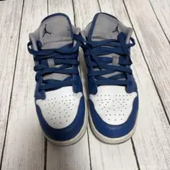 【NIKE】AIR Jordan1 LOW TRUE BLUE 25㎝【ナイキ】