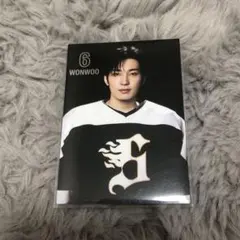 SEVENTEEN HOME トレカ　ウォヌ　53