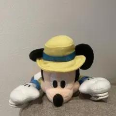 ミッキーマウス バケーションパッケージ限定ぬいぐるみ