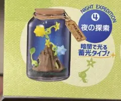 Pikmin Terrarium Collection 2 ④夜の探索