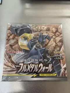 フルメタルウォール 未開封 シュリンク付 BOX ボックスローダー入り