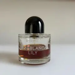 2026年最新】カサブランカリリー バイレードの人気アイテム - メルカリ