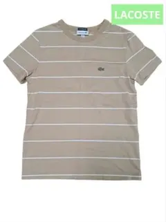 LACOSTE ストライプ Tシャツ XS　ボーダー　ベージュ　半袖　ラコステ
