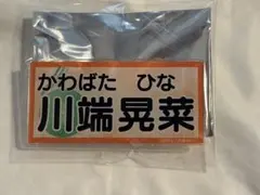 Item thumbnail for item 2cd63520-1204-4e6b-bd51-25e8704d8f6a