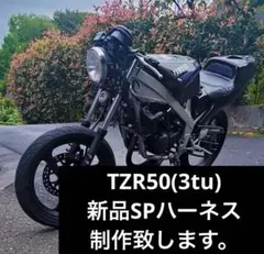 2026年最新】TZR 3tuの人気アイテム - メルカリ