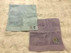 TOWEL MUSEUM んぽちゃむ　きみまろ　ハンドタオル 2枚セット