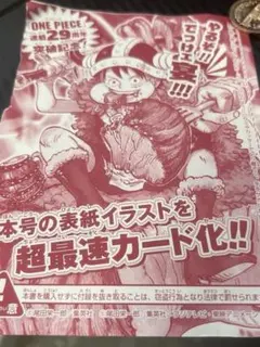 ワンピース 連載29周年記念 特典カード