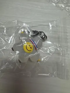 TRUZ ROMY ガチャガチャ トレジャー めじるしアクセサリー ジフン ロミ