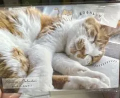 Item thumbnail for item 1a4d8210-bf1a-47a0-b6d1-78bd5879ef23