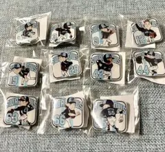ヤクルト　スワローズ　ピンバッジ 2025 11点　山田　西川　村上　他