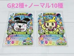にゅーごっちカード2 GR みみっち　ちょーちょっち2種　　ノーマル10種