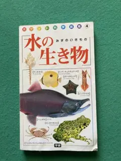 Item thumbnail for item b7138926-841a-422e-91b8-71f3da4cd6d9