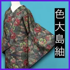 M5305★ 着物淡雪 ★ 正絹　色大島紬　花尽くし　織り出し模様