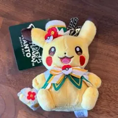 ピカチュウ ポケパークカントー ポケパークカントー　ピカチュウ　ぬいぐるみ　ポケモン　セット 【新品未使用】 ぬいぐるみ メルカリ - ぬいぐるみ