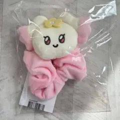RIIZE ショウタロウ リズコ シュシュ - メルカリ